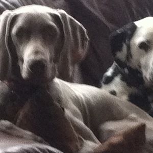 Meet your Posher, Event